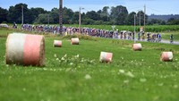 Gulungan jerami gandum terlihat di pedesaan Prancis. Tour de France merupakan salah satu ajang kejuaraan paling bergengsi di dunia. (Jasper Jacobs/Belga Mag/AFP/Getty Images)  
