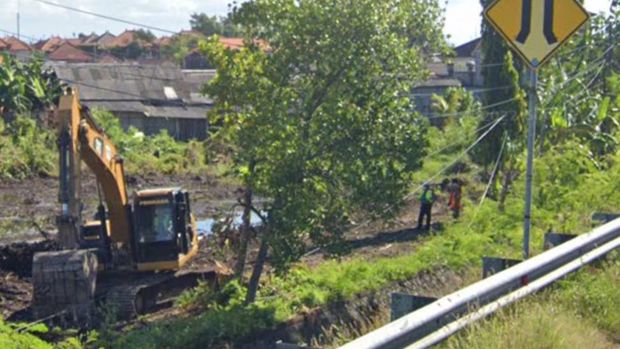 Sejumlah mangrove yang dibabat untuk proyek pembangunan Embung Sanur.