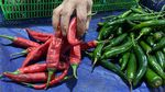 Harga Cabai yang Masih Pedas di Bandung