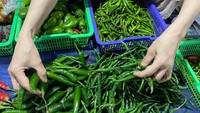 Cabai rawit masih di harga Rp 120 ribu, cabai hijau Rp 60 ribu, cabai gendot Rp 60 ribu dan cabai rawit ijo Rp 10 ribu. (Foto: Wisma Putra/detikJabar)
