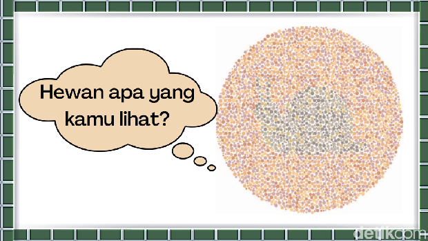 tes buta warna asah otak tes buta warna asah otak