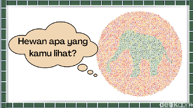 tes buta warna asah otak tes buta warna asah otak