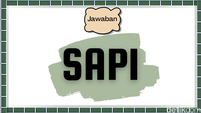 tes buta warna asah otak