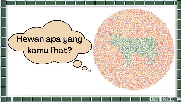 tes buta warna asah otak tes buta warna asah otak