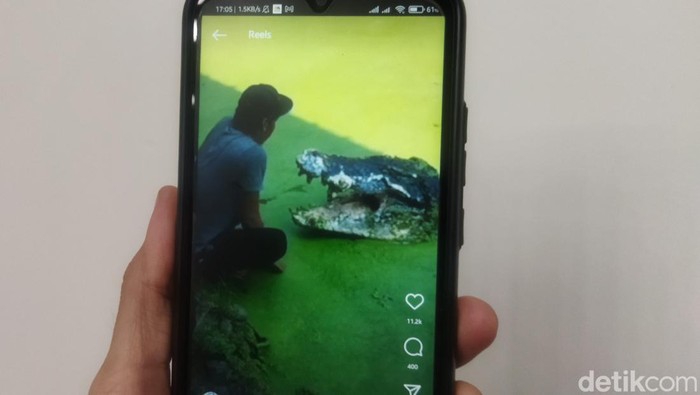Video viral pria mesra dengan buaya.