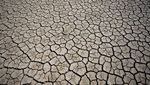 Tembus 30 Derajat Celcius, Sungai di Wales Mengering