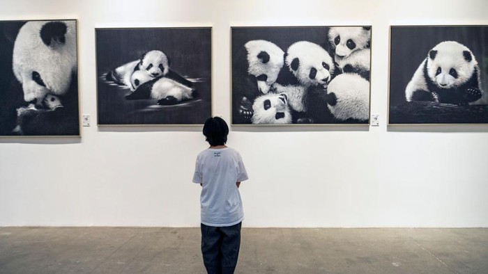 1407990615 CHENGDU, CHINA - JULY 10: Giant panda sculptures are on display during the