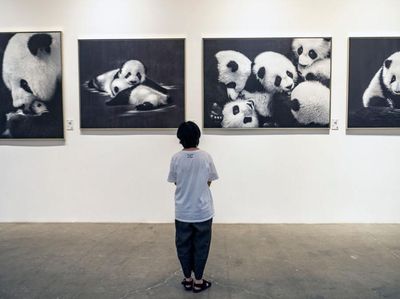 Kreasi Seni Bertema Panda Ini Kerennya Kebangetan!