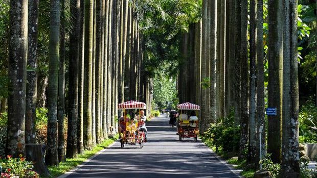GUANGZHOU, CHINA - JULY 11: Tourists visit the South China National Botanical Garden on July 11, 2022 in Guangzhou, Guangdong Province of China. The South China National Botanical Garden, the world's largest subtropical botanical garden and China's second national botanical garden, with a total planned area of 319 hectares, was officially unveiled on Monday in Guangzhou. (Photo by Chen Jimin/China News Service via Getty Images)