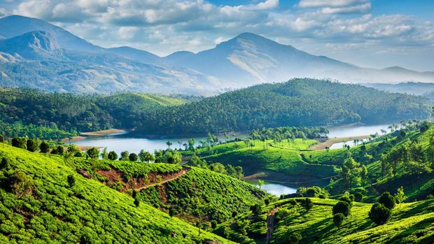 Tea plantations and Muthirappuzhayar River in hills near Munnar, Kerala, India