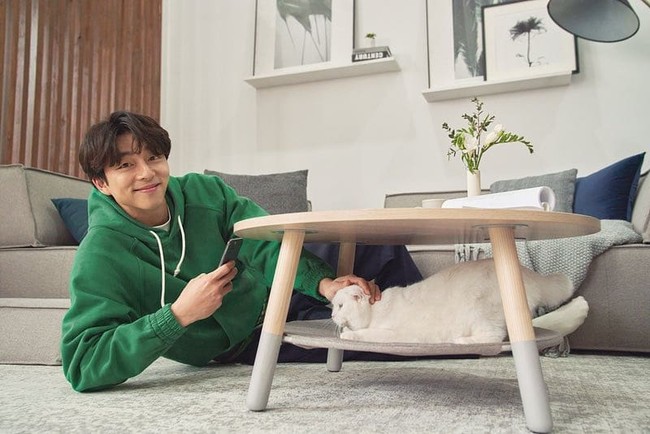 Gong Yoo memelihara dua kucing scottish fold yang terlihat dalam pemotretan brand furnitur iloom. Salah satunya berwarna putih dan diberi nama Kongkong. Dalam wawancaranya dengan The Fact, Gong Yoo mengatakan bahwa tipe idealnya adalah wanita yang mandiri seperti kucing. Foto: Instagram
