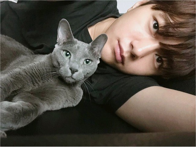 Visual Kim Myung Soo sering disebut mirip kucing. Dia bahkan pernah membintangi drama Korea Meow The Secret yang menampilkan perubahan kucing menjadi manusia. Sang aktor memelihara kucing russian blue yang diberi nama Byulyi. Foto: Instagram