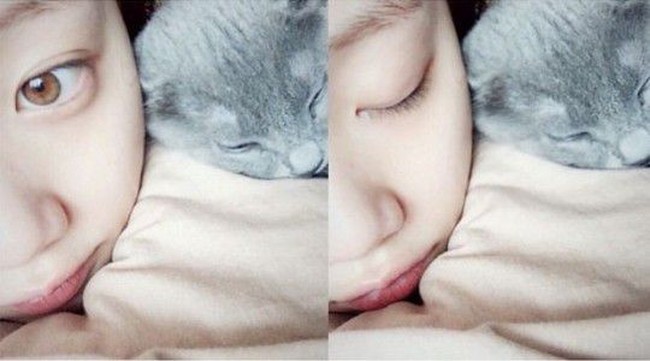 Mantan kekasih Nam Joo Hyuk memelihara dua kucing russian blue bernama Bboy dan Ddoo-Ddoo. Saking gemasnya dengan kucing, Lee Sung Kyung sering berfoto dengan kucing jalanan. Foto: Instagram