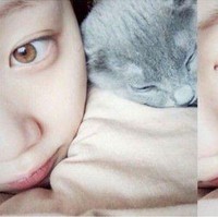 Mantan kekasih Nam Joo Hyuk memelihara dua kucing russian blue bernama Bboy dan Ddoo-Ddoo. Saking gemasnya dengan kucing, Lee Sung Kyung sering berfoto dengan kucing jalanan. Foto: Instagram