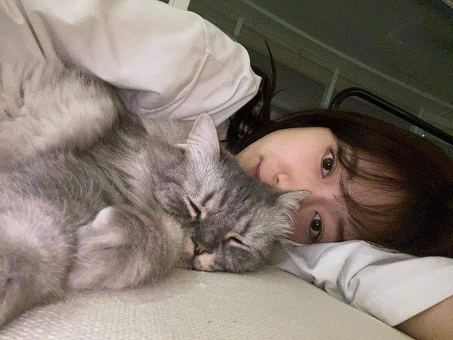 Rumah Park Shin Hye diramaikan dengan empat kucing peliharaannya dan suami. Sang aktris memelihara kucing scottish straight bernama Haeri dan kucing scotish fold bernama Dal. Sedangkan Choi Tae Joon memelihara kucing scottish fold bernama Khan dan kucing himalaya bernama Choco. Foto: Instagram