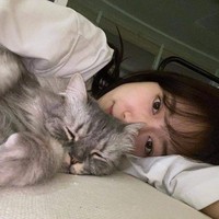 Rumah Park Shin Hye diramaikan dengan empat kucing peliharaannya dan suami. Sang aktris memelihara kucing scottish straight bernama Haeri dan kucing scotish fold bernama Dal. Sedangkan Choi Tae Joon memelihara kucing scottish fold bernama Khan dan kucing himalaya bernama Choco. Foto: Instagram