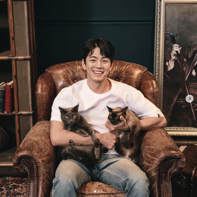 Sedangkan lawan main Ahn Hyo Seop, Kim Min Kyu merupakan ‘ayah dari tiga kucing dengan jenis yang berbeda. Kucing pertamanya Sian berjenis british shorthair, ada juga kucing persia Tabby Kun, dan kucing siam bernama Shami. Foto: Instagram