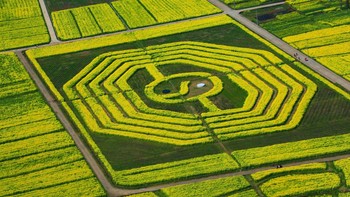 Logo Taichi mejeng di sebuah ladang di kawasan Huangsian, China. Visual China Group via Getty Images.