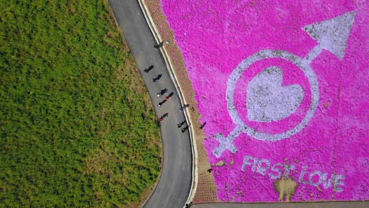 Jepretan drone miliki keunikan tersendir idari segi perspektif tanpa batas. Berikut deretan foto-foto drone dari sejumlah ladang bunga di dunia.