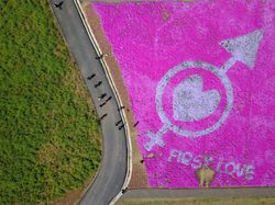 Deretan Foto Drone Bertema Ladang Bunga yang Bikin Melotot