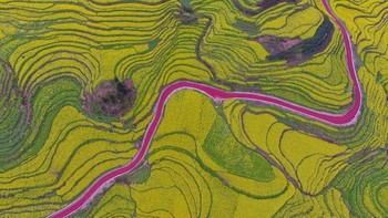 Ini dia terasering yang ada di kawasan Zunyi, China. Sekilas memang sangat terlihat seperti lukisan. Apalagi dengan dipadu-padankan warna cerah hijau dan garis merah yang membelahnya. Pasti kalian akan terkecoh melihatnya. (Visual China Group via Getty Images)