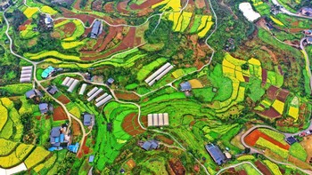 Apalagi Terasering yang penuh warna-warni ini, pasti kalian yang ngeliat seperti lukisan abstrak yang penuh warna. Iya bukan? Lokasinya ada di kawasan Chongqing, China. (Visual China Group via Getty Images)