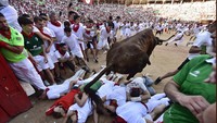 Banteng berbobot ratusan kg itu melayang di atas tubuh warga yang bertumpuk di lantai.