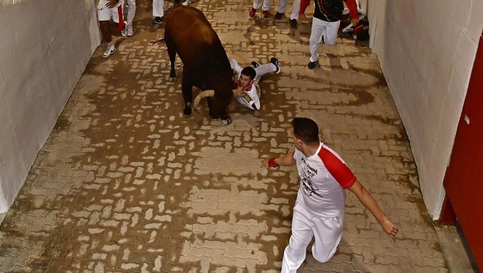 A runner's shirt is hooked by a fighting bull's horns as he falls during the running of the bulls at the San Fermin Festival in Pamplona, northern Spain, Tuesday, July 12, 2022. Revellers from around the world flock to Pamplona every year for nine days of uninterrupted partying in Pamplona's famed running of the bulls festival which was suspended for the past two years because of the coronavirus pandemic. (AP Photo/Alvaro Barrientos)