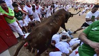 Seekor banteng aduan melompati para pelari yang memasuki arena adu banteng selama Festival San Fermin di Pamplona, Spanyol, Selasa (12/7/2022). 