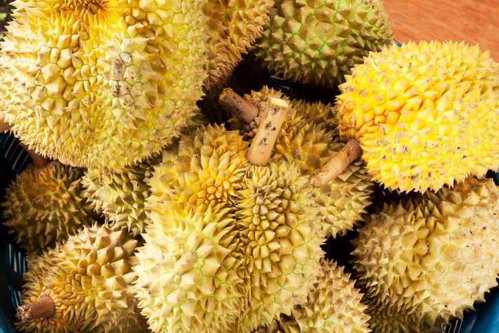 Durian premium