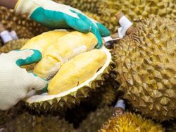 Ada Sejak Berabad Silam, Meski Beraroma Tajam Durian Tetap Populer