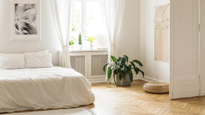 White roses and cactus in spacious grey bedroom interior with patterned bedsheets on bed