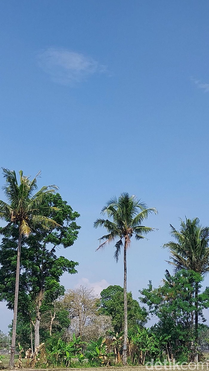 Ilustrasi langit di wilayah Kota Batu yang tidak ditumbuhi awan