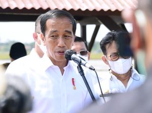 Tinjau Balai Padi di Subang, Jokowi Yakin Swasembada Beras Tercapai