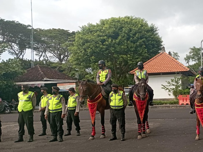 Kuda dari Belanda dan Sumba milik Dit Samapta Polda Bali.