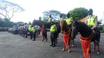 Melihat Kuda Belanda-Sumba Polda Bali untuk Patroli Keamanan G20