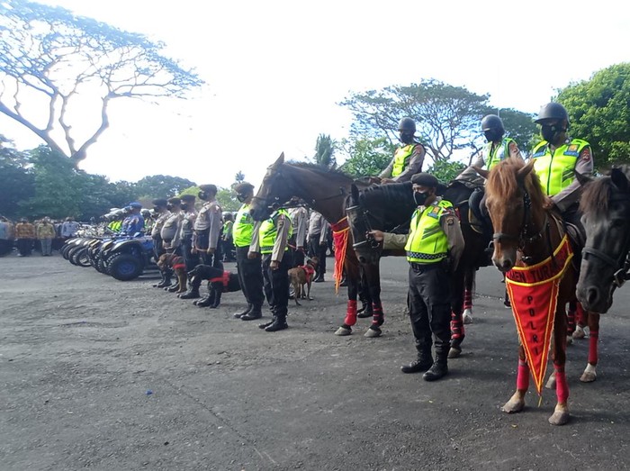 Kuda dari Belanda dan Sumba milik Dit Samapta Polda Bali.