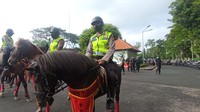 Kuda Belanda dan Sumba milik Dit Samapta Polda Bali memiliki keahlian untuk kegiatan patroli khusus, terutama untuk daerah-daerah yang mungkin sulit dijangkau dengan kendaraan. Foto: I Wayan Sui Suadnyana/detikBali 
