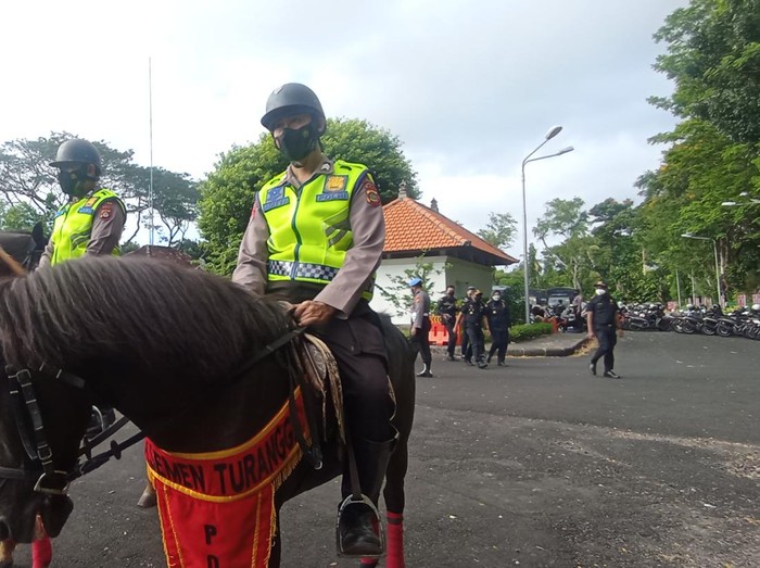 Kuda dari Belanda dan Sumba milik Dit Samapta Polda Bali.