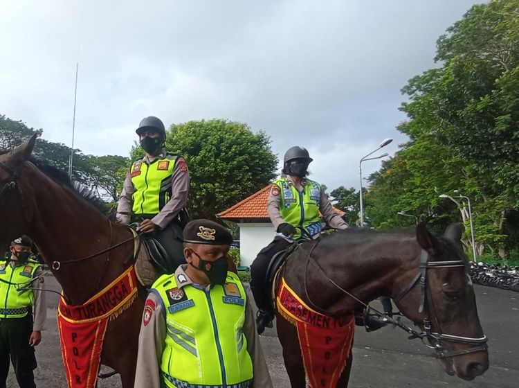 Melihat Kuda Belanda-Sumba Polda Bali untuk Patroli Keamanan G20