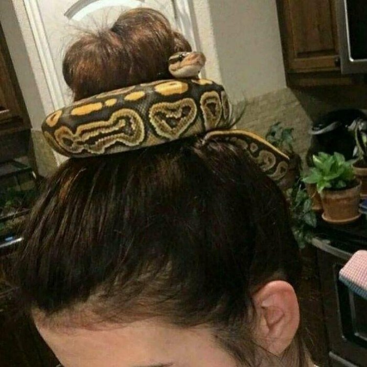 Kumpulan Foto Tak Masuk Akal tapi Bikin Penasaran, Awas Terkecoh Kumpulan Foto Tak Masuk Akal tapi Bikin Penasaran, Awas Terkecoh