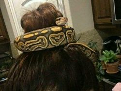 Kumpulan Foto Tak Masuk Akal Tapi Bikin Penasaran, Awas Terkecoh