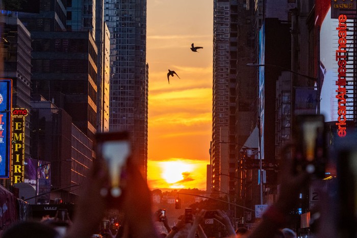 NEW YORK, NEW YORK - JULY 11: Two birds fly through the middle of the street as people gather around to watch the sun set during Manhattanhenge in Times Square on July 11, 2022 in New York City. Manhattanhenge, which happened in May and now again in July, is the phenomenon when the sunset lines up between certain blocks in New York City. (Photo by Alexi Rosenfeld/Getty Images)