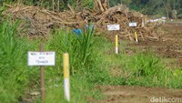Anak-anak bermain di area proyek pembangunan Tol Jogja-Bawen seksi satu di Seyegan, Sleman, DIY, Selasa (12/7/2022). Foto: Pius Erlangga/detikJateng