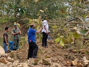 Warga Tulungagung Tewas Tertimpa Pohon Jati Tumbang