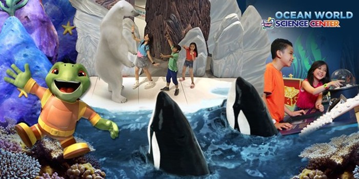 Trans Studio