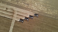Efek domino perang sampai pada kenaikan pangan yang menerpa hingga Timur Tengah, sebagian Afrika, Asia dan Eropa. Selain itu, perang memicu kenaikan harga minyak dunia.