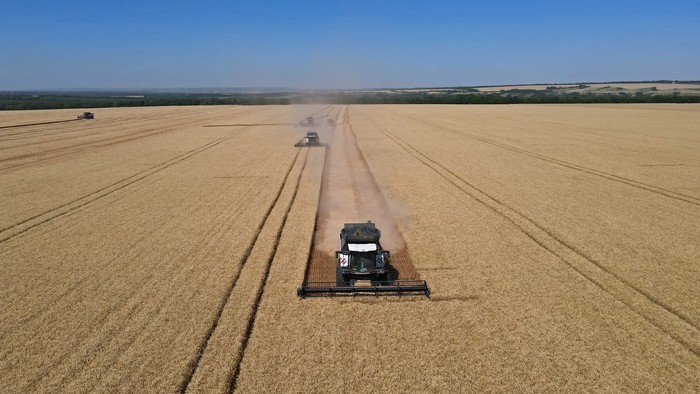 Combines harvest wheat in a field in the Rostov Region, Russia July 7, 2022. REUTERS/Sergey Pivovarov