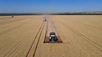 Empat alat berat dikerahkan untuk memanen ladang gandum di Rostov, Rusia, Kamis (7/7) pekan lalu. Pasca operasi militer Rusia ke Ukraina, isu kenaikan pangan dunia tak terhindarkan. Rusia bersama Ukraina menjadi salah satu produsen gandum dan biji-bijian terbesar di dunia.