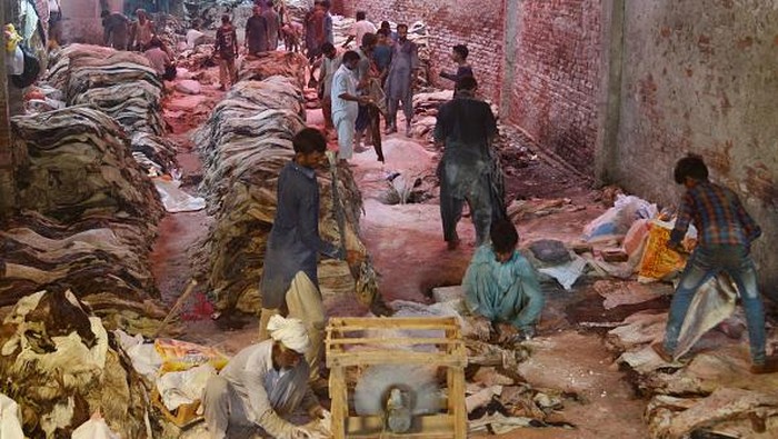 LAHORE, PUNJAB, PAKISTAN - 2022/07/12: A Pakistani worker covers sacrificial animal skins with salt after the cleaning and preserving process at their workplace in Lahore. After this they will be transportated to different factories, the core products being leather garments, gloves, tanned leather, and footwear. (Photo by Rana Sajid Hussain/Pacific Press/LightRocket via Getty Images)